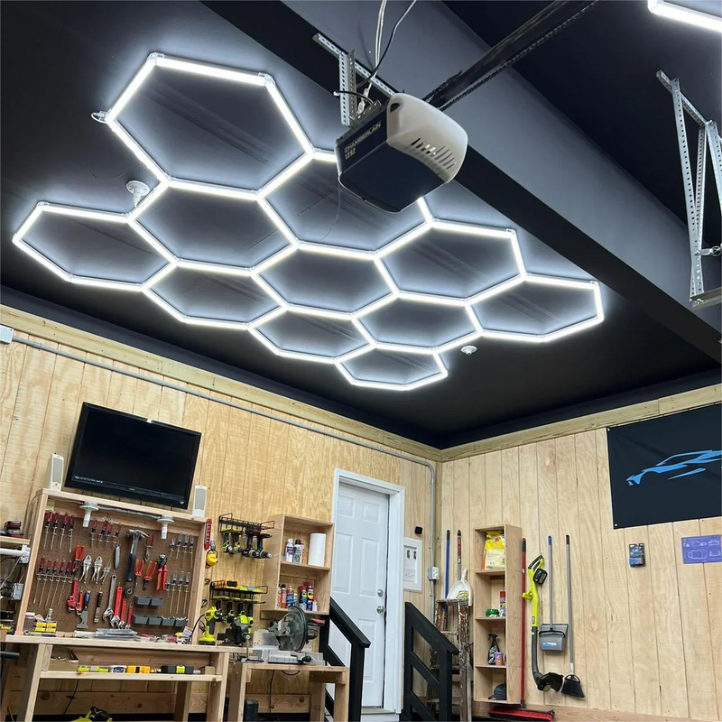 Our Gallery